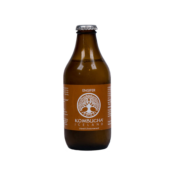 Engifer Kombucha - Kúbalúbra