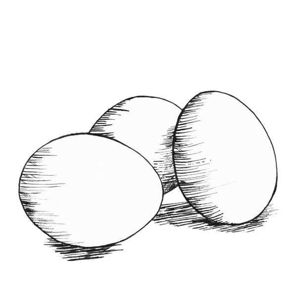 Landnámsegg - 7 stk.